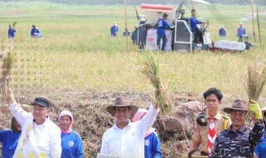 Gebyar Panen Raya Padi dan Jagung di Lampung: Sinergi Kementan dan TNI AL Aktifkan Lahan Tidur