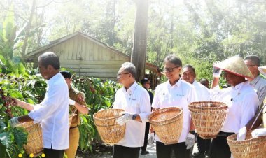 Presiden Jokowi dan Menteri Pertanian Tinjau Perkebunan Kopi di Lampung Barat