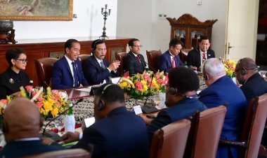 Kerja Sama Pertahanan, Perdagangan, dan Energi Menjadi Fokus Utama Pertemuan Presiden Joko Widodo dengan PM Papua Nugini