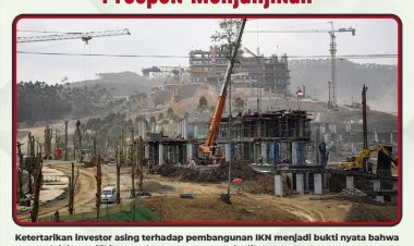 Ketertarikan Investor Asing Bukti Pembangunan IKN Memiliki Prospek Menjanjikan