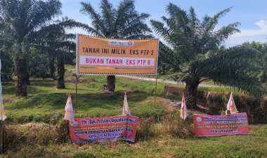 Aparat Harus Menindak Tegas Mafia Tanah di Sumut Asset Negara Harus Dipertahankan