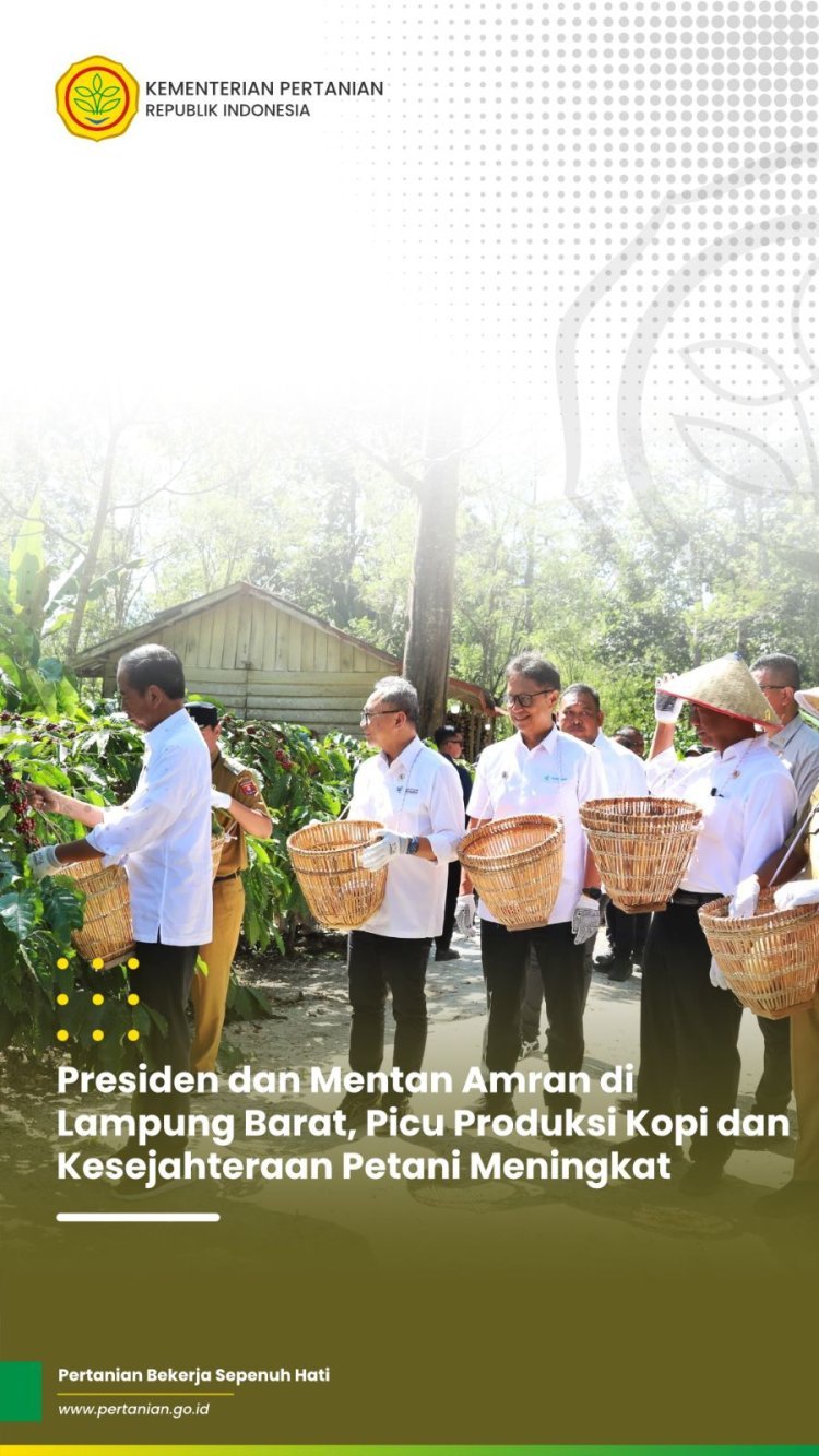 Presiden Jokowi dan Menteri Pertanian Tinjau Perkebunan Kopi di Lampung Barat