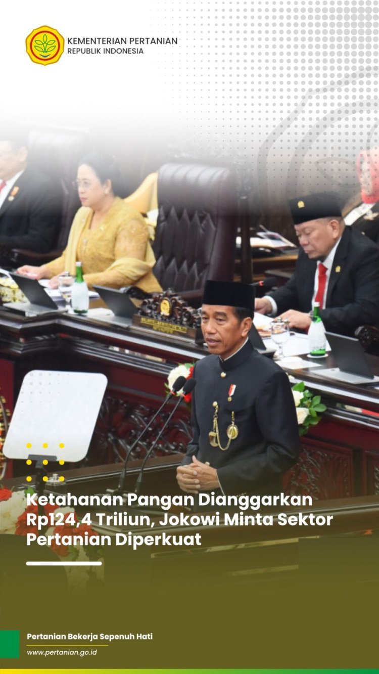 Presiden Jokowi Prioritaskan Penguatan Lumbung Pangan dalam RAPBN 2025