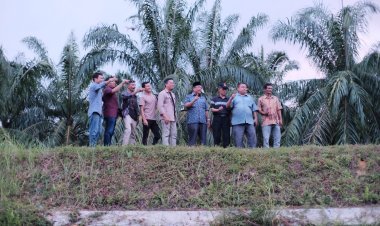 Pasangan Calon Bupati dan Wakil Bupati Aceh Singkil, H. Safriadi - H. Hamzah Tinjau Tanggul Tanah Merah yang Terbengkalai