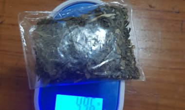 Polres Kendal Ungkap Jaringan Narkoba, Perantara Ditangkap dengan 4,96 Gram Ganja
