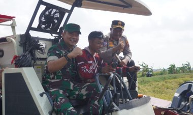 Sinergitas Tiga Pilar Panen Raya Bersama di areal persawahan Dk. Grogol, Ds. Grajegan, Kec. Tawangsari