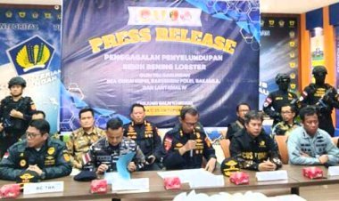 DJBC Kepri Bersama Tim Gabungan Gagalkan Penyelundupan Benih Bening Lobster Senilai Rp 19,2 Miliar