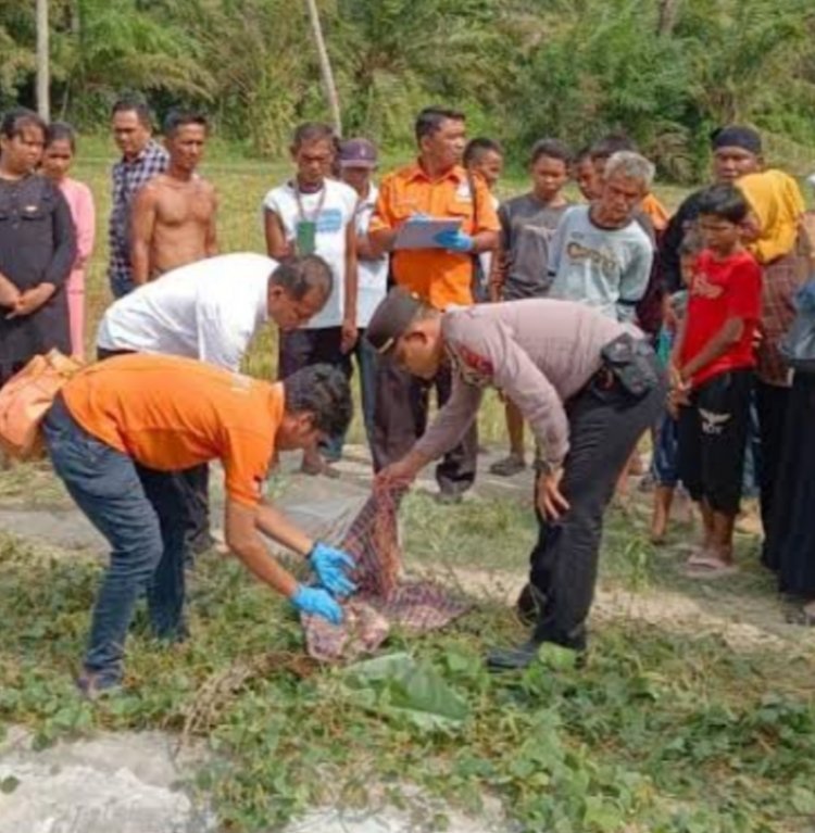 Miris!!, Kematian Bayi Perempuan di Batubara Belum Terungkap oleh APH