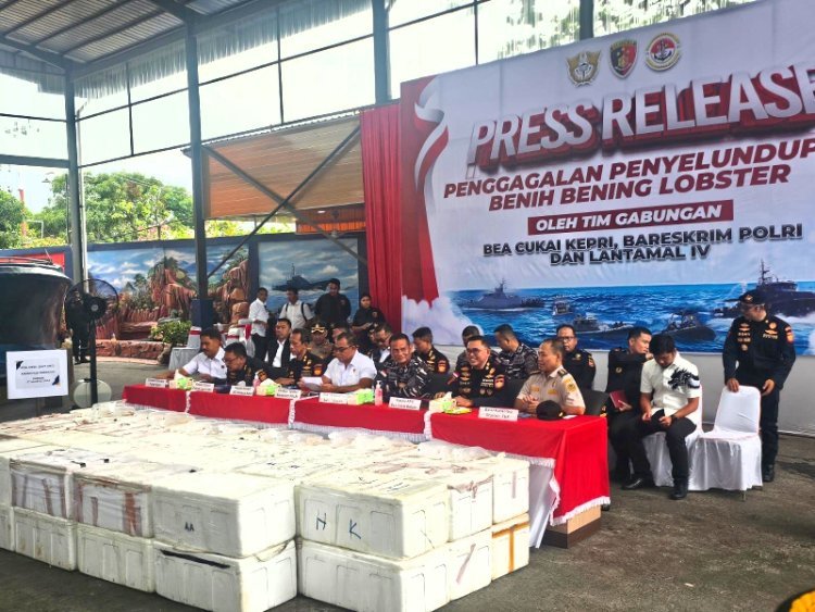 Polda Kepri Ungkap Penyelundupan 237.305 Benih Lobster Senilai Rp 23,6 Miliar dalam Konferensi Pers