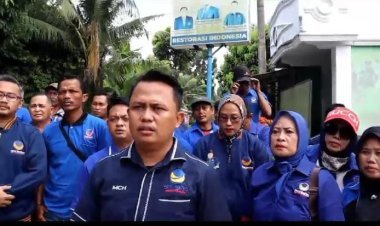 Kader Partai NasDem Deli Serdang Ramai-Ramai Lepas Seragam, Kekecewaan Kepemimpinan Ali Yusuf Siregar