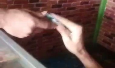 Terungkap: Peredaran Obat Terlarang di Kota Bekasi, Diduga Libatkan Oknum