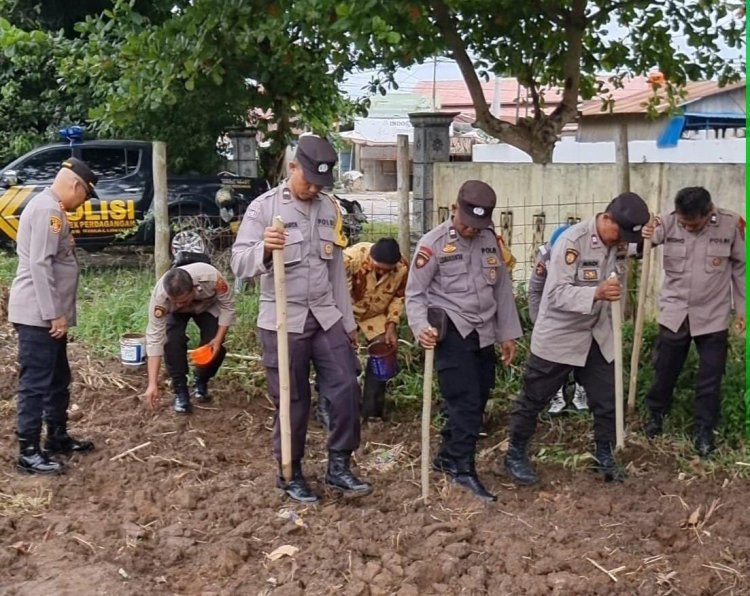 Polsek Perdagangan Gelar Program Ketahanan Pangan, Tanam Jagung di Lahan Asrama untuk Dukung ASTA CITA Presiden Prabowo