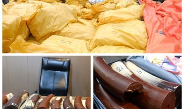 Mengawal Asta Cita, Bea Cukai Batam Tingkatkan Kinerja Pengawasan