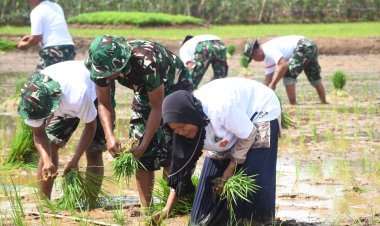Panglima TNI Launching Padi Sinar Mentari dan Peresmian Jembatan Gantung Merah Putih di Pemalang