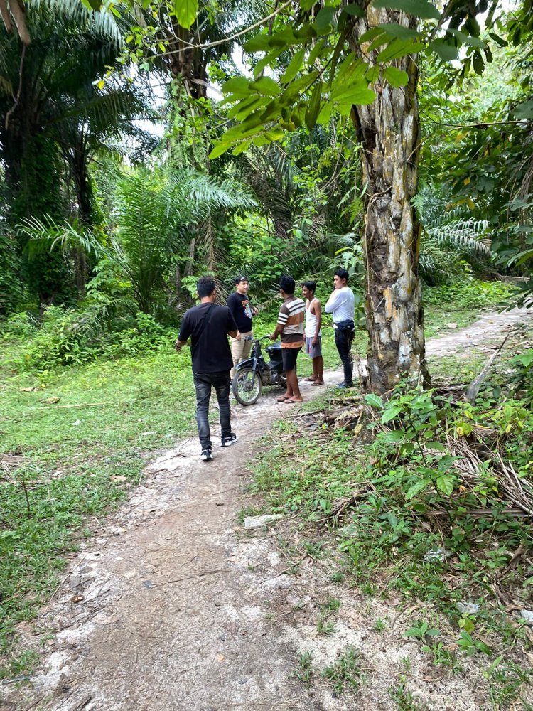 Quick Response Satresnarkoba Polres Simalungun Tanggapi Aduan Masyarakat Melalui Dir Narkoba Poldasu, Gerebek Empat Lokasi
