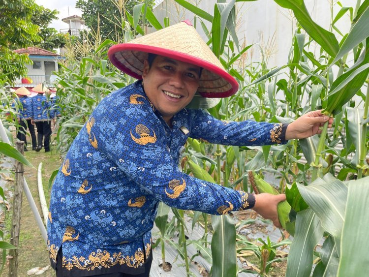 Rutan Batam Panen Jagung 250 Kg: Bukti Sukses Pembinaan Kemandirian Warga Binaan
