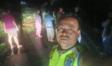 Pohon Tumbang Rusak Tiga Rumah Dinas Polsek Parapat, Kerugian Capai 40 Juta Rupiah