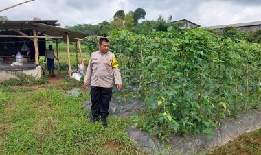 Polresta Tangerang Polda Banten Lakukan Pembinaan Ketahanan Pangan di Kecamatan Cikupa