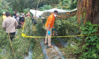 Tim Inafis Polres Simalungun Tangani Penemuan Jenazah di Kebun Cabai Bandar Rakyat