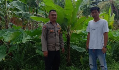 Polresta Tangerang Dukung Ketahanan Pangan, Bhabinkamtibmas Polsek Cikupa Dampingi Warga Kembangkan Perkarangan
