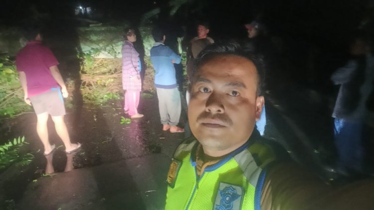 Pohon Tumbang Rusak Tiga Rumah Dinas Polsek Parapat, Kerugian Capai 40 Juta Rupiah