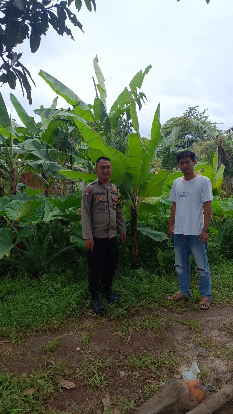 Polresta Tangerang Dukung Ketahanan Pangan, Bhabinkamtibmas Polsek Cikupa Dampingi Warga Kembangkan Perkarangan