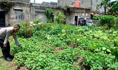 Dukung Program Ketahanan Pangan, Polsek Cikupa Berikan Motivasi kepada Petani Ubi Jalar