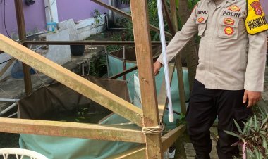 Polsek Cikupa Dukung Ketahanan Pangan Lewat Budidaya Ikan Lele