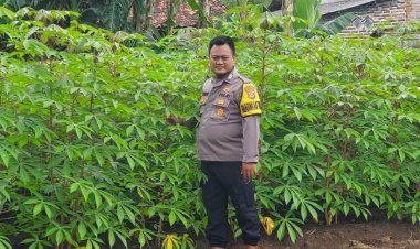 Bhabinkamtibmas Desa Talaga Bripka Suheri Wijaya Lakukan Pendataan Pekarangan Lestari