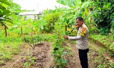 Polsek Cikupa Dukung Ketahanan Pangan Lewat Program Astacita