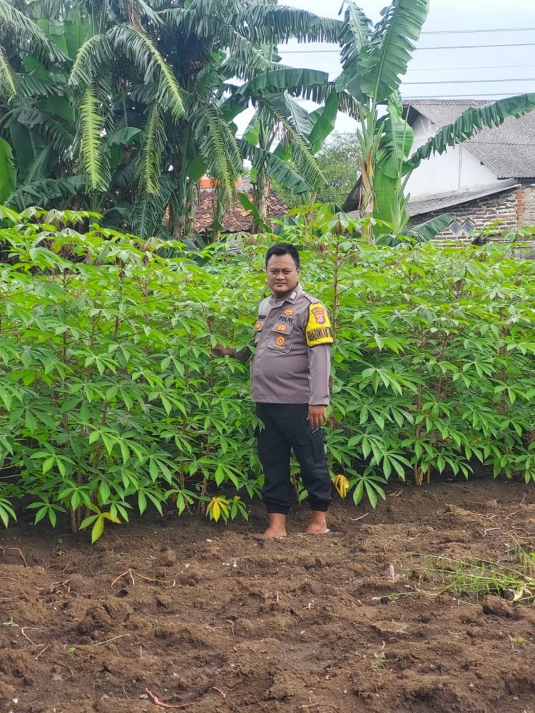 Bhabinkamtibmas Desa Talaga Bripka Suheri Wijaya Lakukan Pendataan Pekarangan Lestari