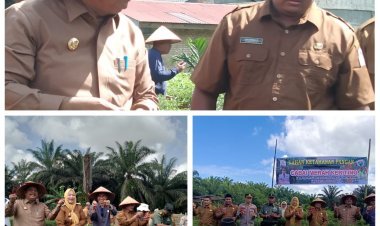 Bupati Aceh Singkil Panen Perdana Cabai Merah Keriting di Desa Penjahitan, Dukung Program Ketahanan Pangan