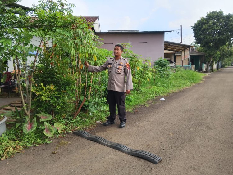 Polsek Cikupa Dukung Ketahanan Pangan dengan Pemanfaatan Pekarangan Rumah