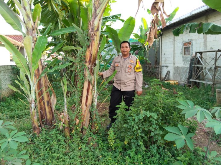 Bhabinkamtibmas Desa Bojong Dorong Pemanfaatan Lahan dengan Budidaya Pisang