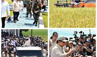 Presiden Prabowo Hadiri Panen Raya Serentak, Tegaskan Komitmen Ketahanan Pangan Nasional