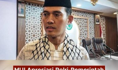 Ketua MUI Apresiasi Penanganan Arus Mudik dan Balik Lebaran 2025