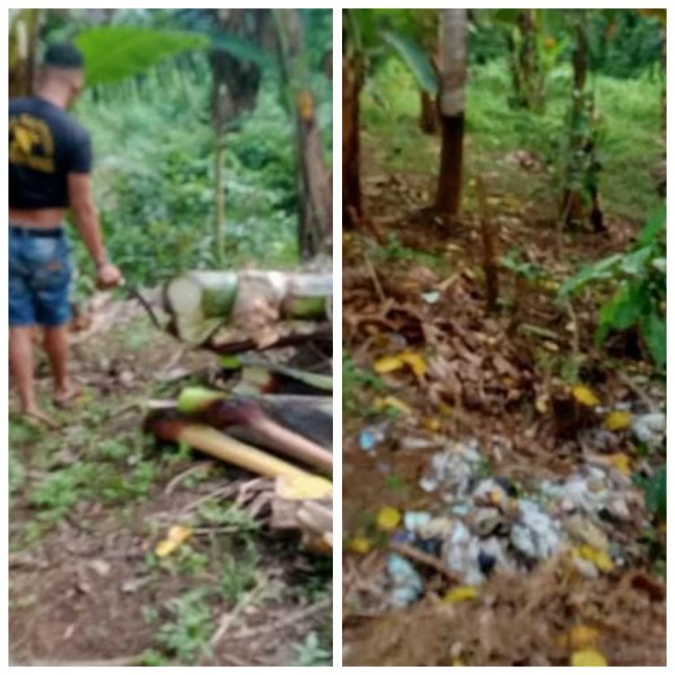 Kebun Pisang Dijadikan Tempat Sampah, Warga Torassi Bulukumba Kecewa