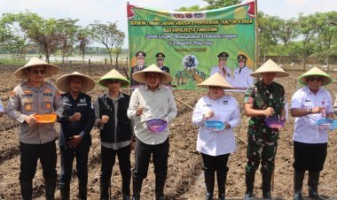 Kapolresta Tangerang Dukung Ketahanan Pangan Lewat Penanaman Jagung Program P2L di Sukamulya