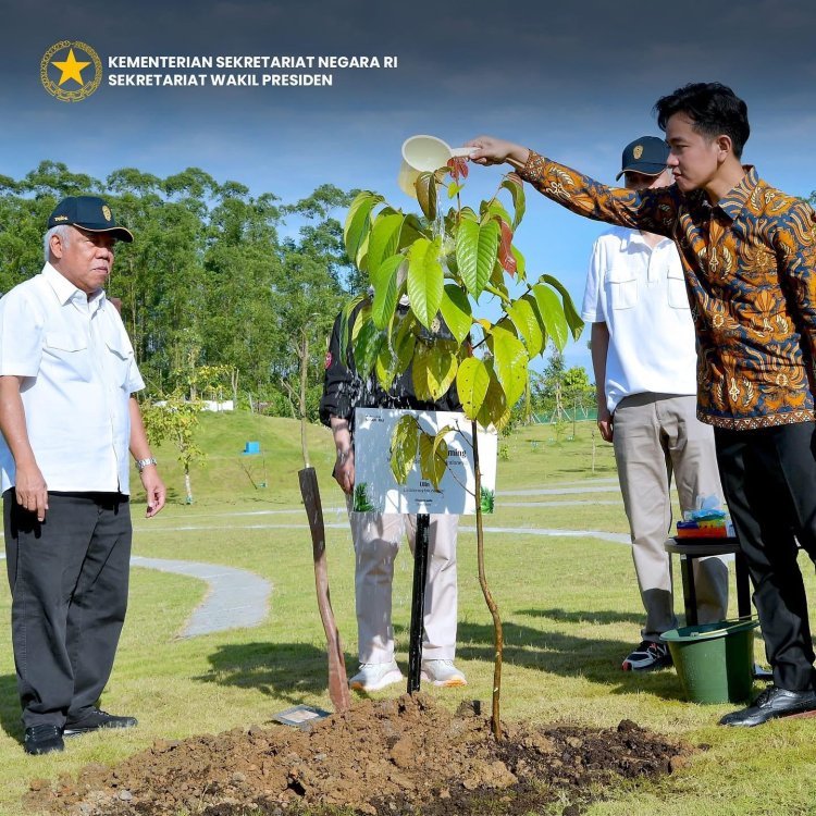 Gibran Tanam Pohon Ulin di IKN: Simbol Keteguhan Membangun Peradaban Baru