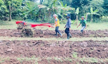 Polsek Jajaran Polresta Tangerang Garap Lahan Jagung Hibrida di Cikupa