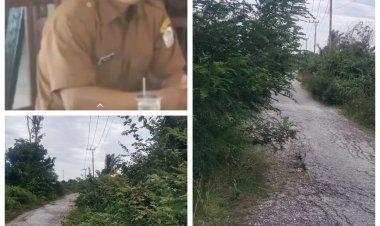 Bahu Jalan Pea Bumbung Menuju Desa Takal Pasir Dipenuhi Semak, Warga Minta Penanganan Segera