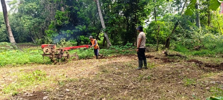 Penggarapan Lahan Jagung di Cikupa: Kolaborasi Polsek dan Petani Lokal