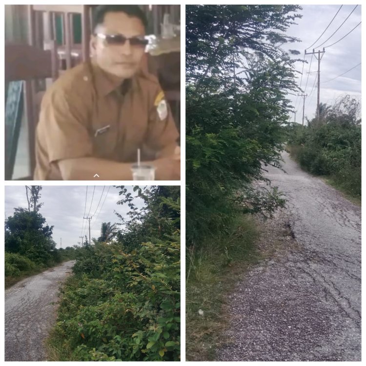 Bahu Jalan Pea Bumbung Menuju Desa Takal Pasir Dipenuhi Semak, Warga Minta Penanganan Segera