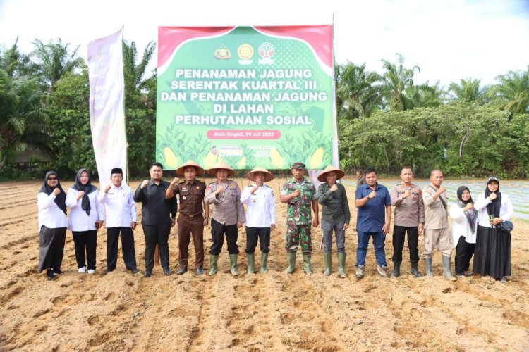 Polres Aceh Singkil Pacu Ketahanan Pangan Nasional: Ribuan Bibit Jagung Ditanam Serentak, Sinergi Polri-Masyarakat Panen Harapan!