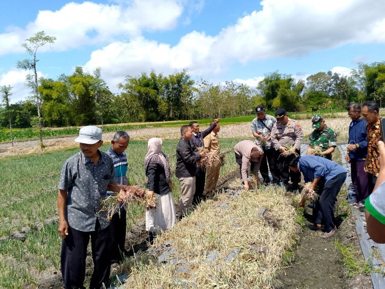 Anggota TNI Hadiri Kegiatan Farmers Field Day