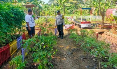 Bhabinkamtibmas Polsek Balaraja Polresta Tangerang Giat PARAKAN KETAPANG Dalam Pemanfaatan Lahan Sektor (Tanaman Terong)