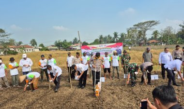 Dukung Petani Lokal, Polresta Tangerang Tanam Jagung Serentak di Wilayah Hukum Cikupa