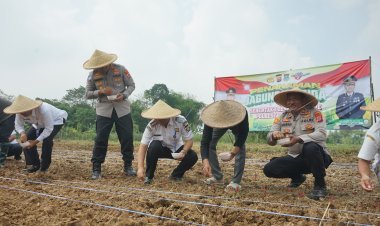Dukung Program Ketahanan Pangan, Polresta Tangerang Gelar Penanaman Jagung Serentak