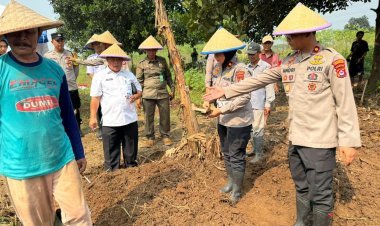 Gerakan Wangsakara: Polresta Tangerang Tanam Jagung Serentak di Lahan Pertanian Cikupa