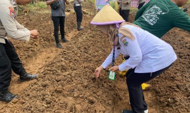 Program PAT Wangsakara, Polresta Tangerang Manfaatkan Lahan Tidur untuk Pertanian Jagung